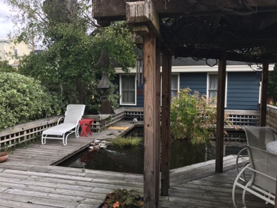 From door to pond and cottage From door to pond and cottage